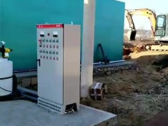 202022313320618